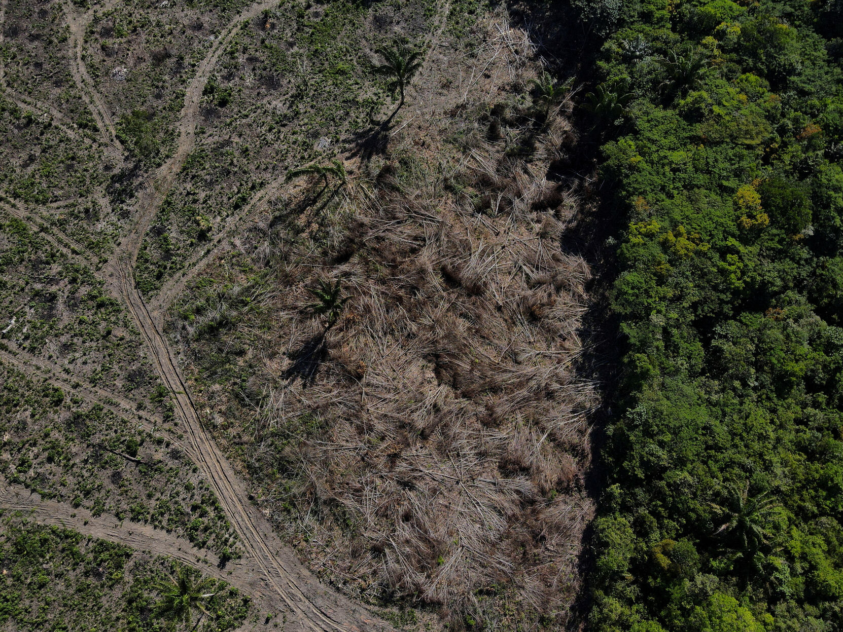 Amazon's advocates fear Trump's return means little US help to protect rainforest